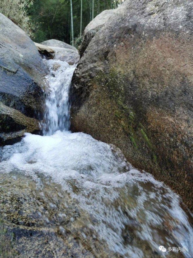 虫虫助手下载